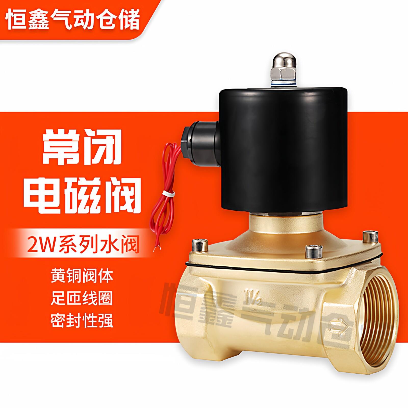 2W电磁阀水阀控制开关气阀全铜线圈AC220V DC24V DC12V 2分 4分