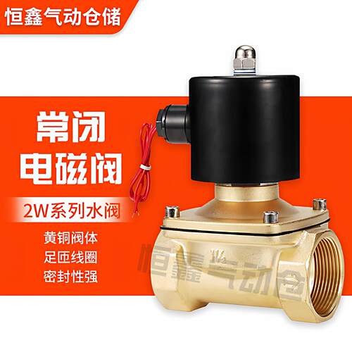 2W电磁阀水阀控制开关气阀全铜线圈AC220V DC24V DC12V 2分 4分