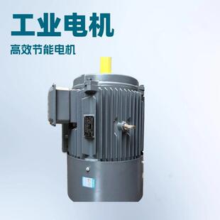 45W6极三相电机三相异步电动机电机 280S YE2YE4Y2YYE3