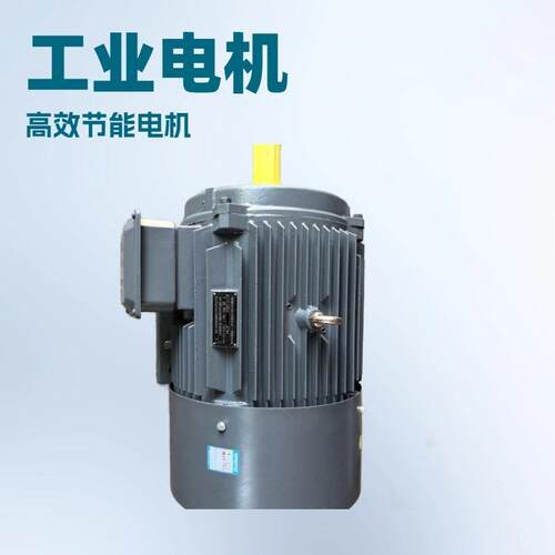 YE2YE4Y2YYE3-160L-6-11W6极三相电机三相异步电动机电机