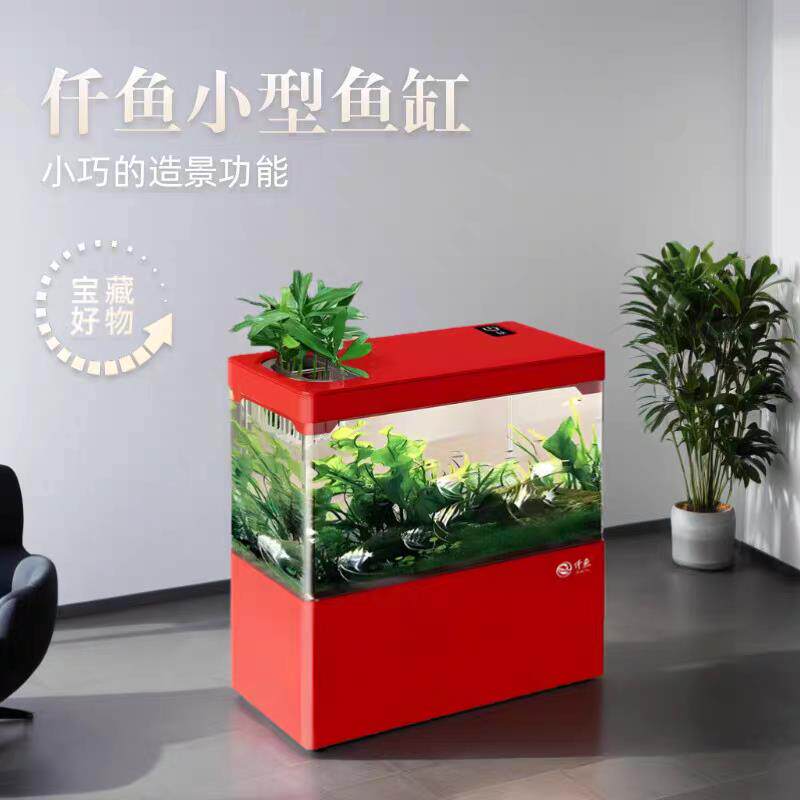 客厅小型生态鱼缸桌面一体式免换水迷你斗鱼家用水族箱儿童金鱼缸