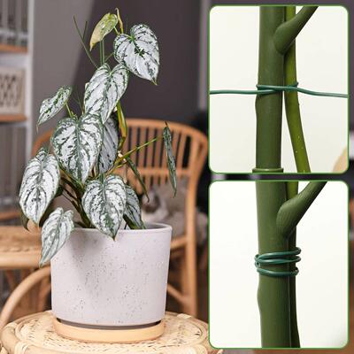 5Pcs Plant Support Stakes Reusable Simulated Tree Branch Pla