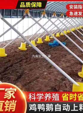 养鸡场自动喂料机养鸭自动喂料机投料机绞龙料线鸡鸭鹅用简易料线