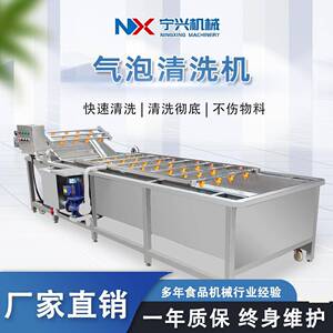 宁兴新疆红枣清洗机大型全自动红枣加工设备多功能气泡清洗机