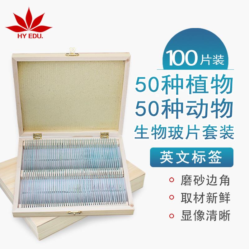 显微镜生物切片英文标签50种植物+50种动物100片装显像清晰