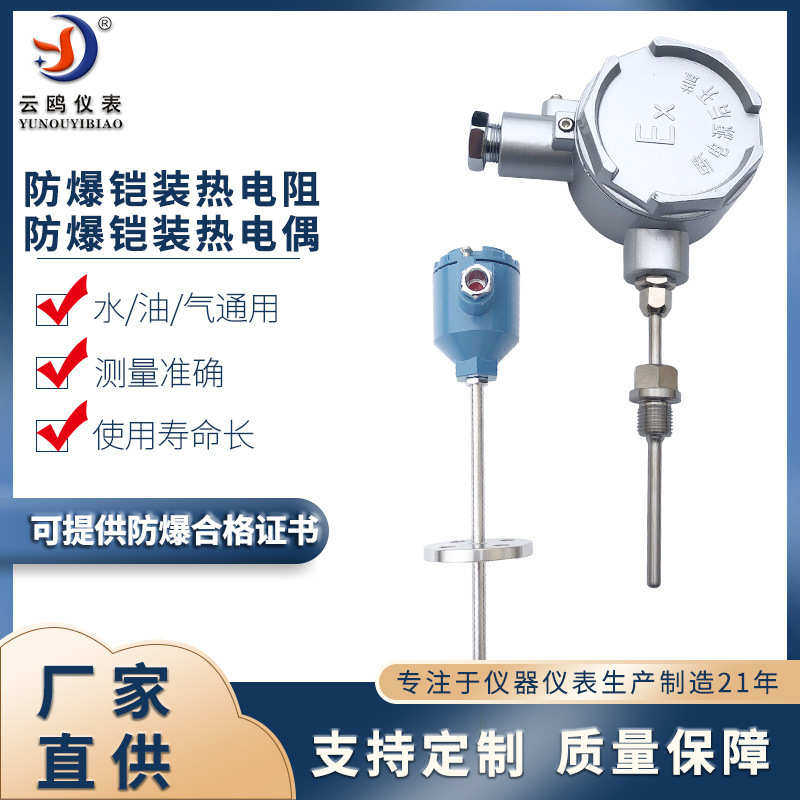 防爆铠装热电阻防爆铠装热电偶多点测温热电偶低温壁挂式热电阻