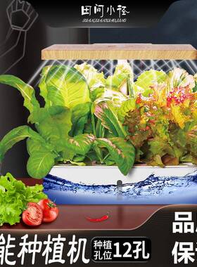 菜机种菜无土栽蔬菜tb660336水培育苗花种培卉家庭种袋植种植槽