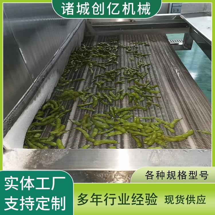 豆角速冻机豆荚隧道速冻机山楂急冻设备低温冷冻保鲜