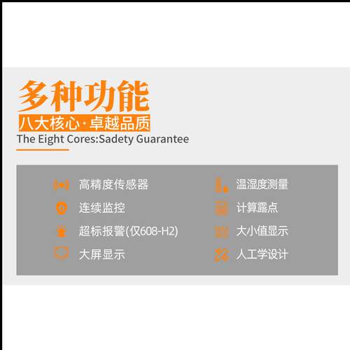 德图testo608H1温湿度计高精度精准室内家用挂式电子显示器湿度表