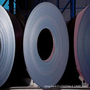 VDA标准 VDA-239-100 HR300Y450T-FB-U-O 钢卷 部件试模一张起售