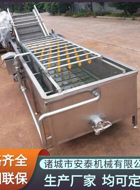 蒲公英茶气泡清洗机全自动鱼腥草清洗机高压喷淋枸杞气泡清洗机