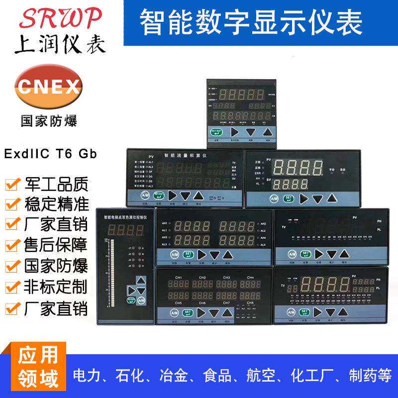 XMTE-200智能数显控制仪 数字显示报警器 尺寸48*96上海上润仪表