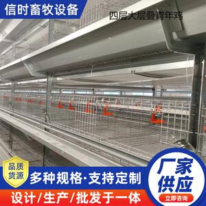 4层大层叠青年鸡全自动鸡笼青年鸡笼立式自动化养殖设备养殖场