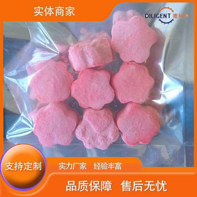 雪糕冰淇淋真空冻干机薄荷块冻干机蔬菜水果冷冻干燥机
