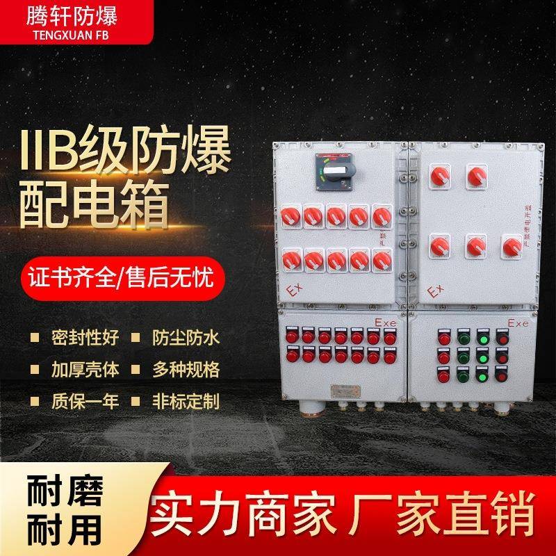 IIB级防爆配电箱防爆动力检修箱防爆检修配电箱防爆动力配电箱