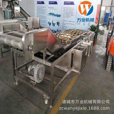 厂家供应蔬菜气泡清洗机水果气泡喷淋清洗机全不锈钢气泡清洗机