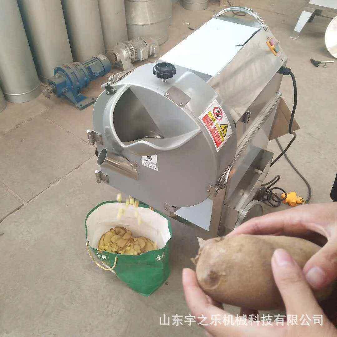厨房切菜机 豆角双头切菜机 腌制咸菜切片机 辣白菜切丝机