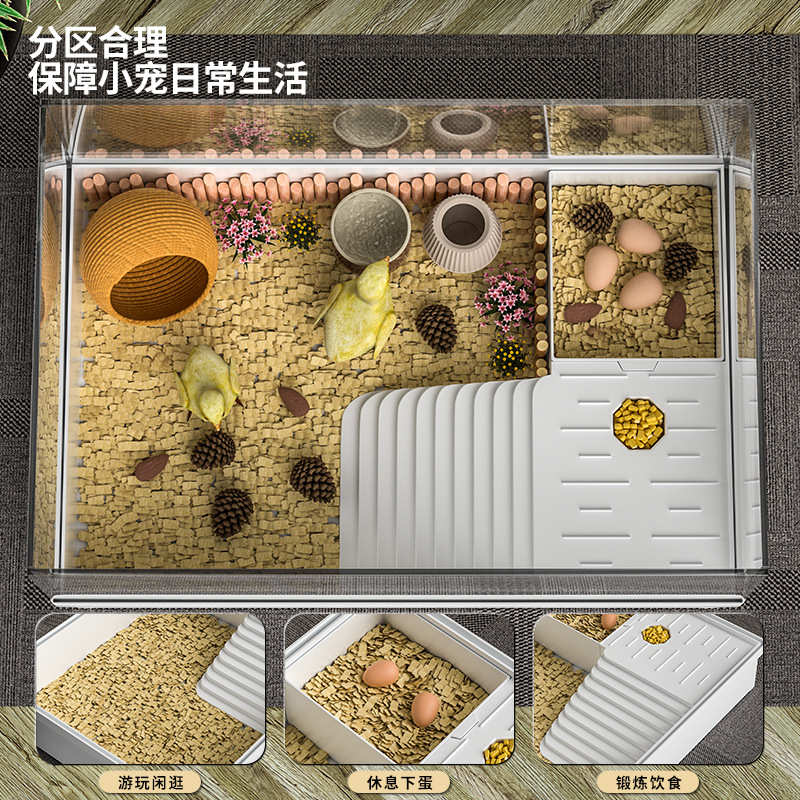 芦丁鸡饲养箱小宠观赏笼芦丁鸡造景别墅家用养殖笼宠物用品