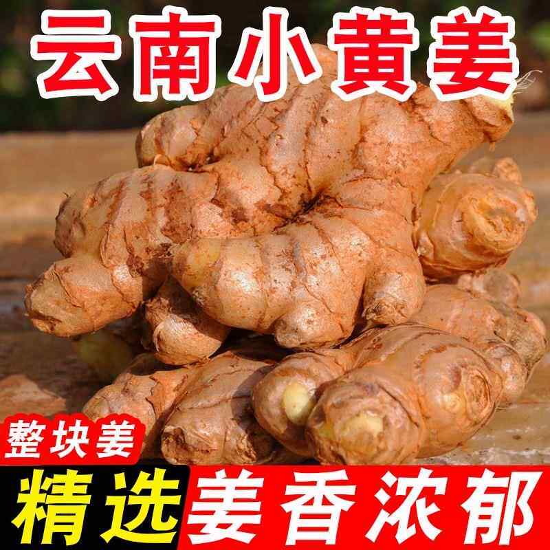 云南罗平小黄姜老姜现挖生姜农家新鲜土姜月子姜食用3/5/9斤