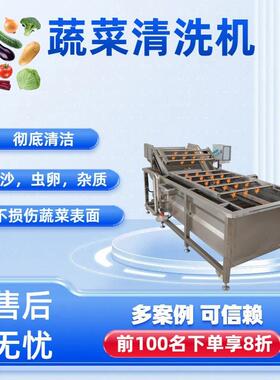 全自动高压喷淋式果蔬清洗机大型商用农药残留净化气泡清洗机