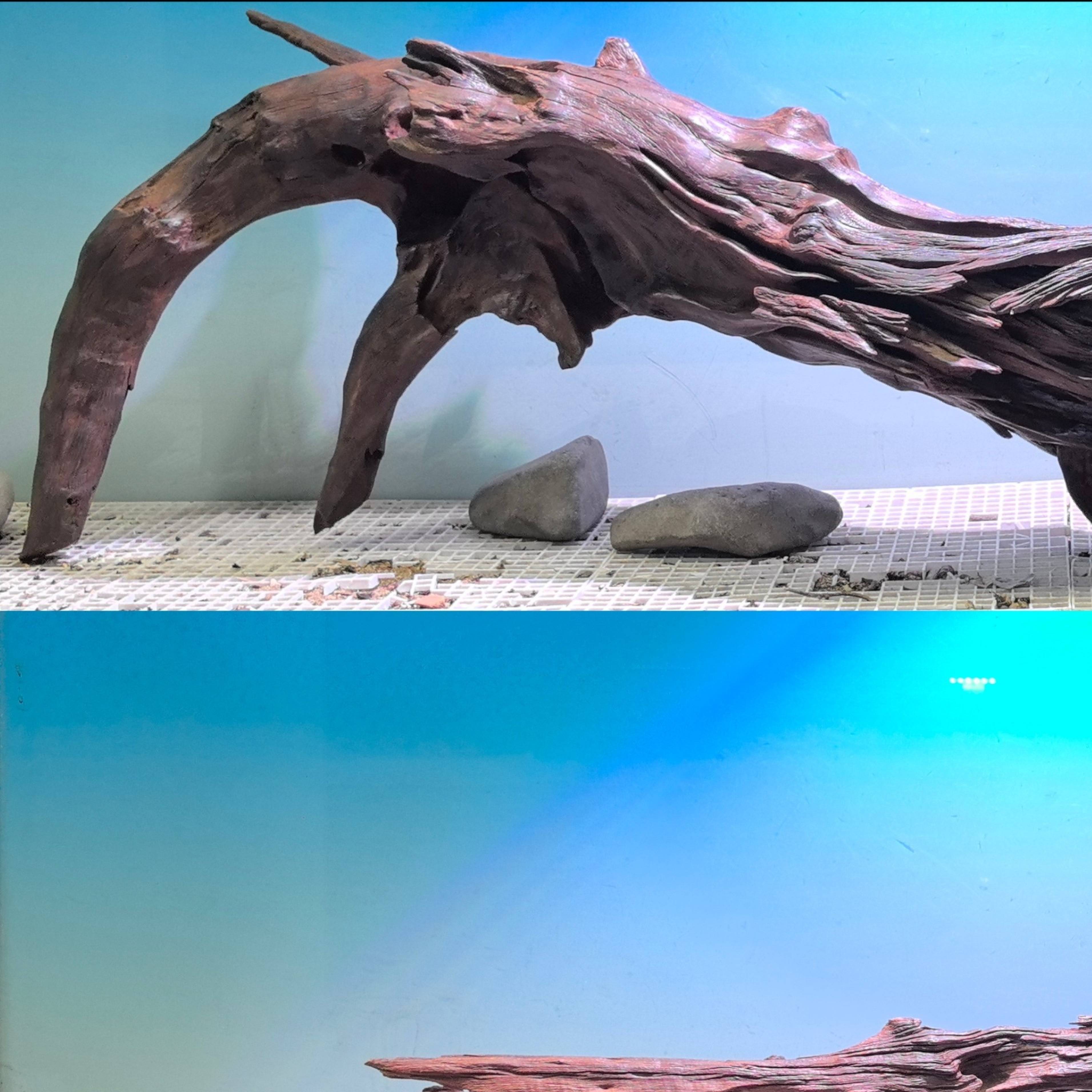 沉木紫柚木树干南美缸树桩水族拱桥乌龟晒台镂空躲避枯木庭院造景