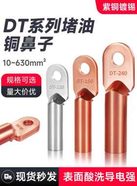 铜鼻Dt端子排电缆连接器镀锡线耳10/16/25/35/50/70-630平方米