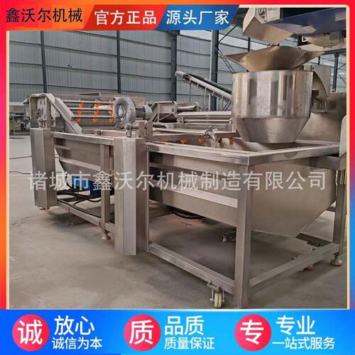 连续喷淋式气泡清洗机多功能水果蔬菜清洗加工设备菠菜清洗机器