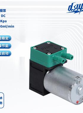液体隔膜泵DS100 DC小型电动隔膜真空泵24V水处理液体泵厂家直供