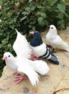 仿真鸽子摆件模型白鸽假鸽子和平鸽婚庆婚礼装饰道具羽毛动物标本