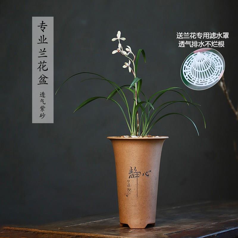 秦夕洪正品兰花专用透气盆柴烧段泥紫砂陶瓷花盆精品手工静心刻绘