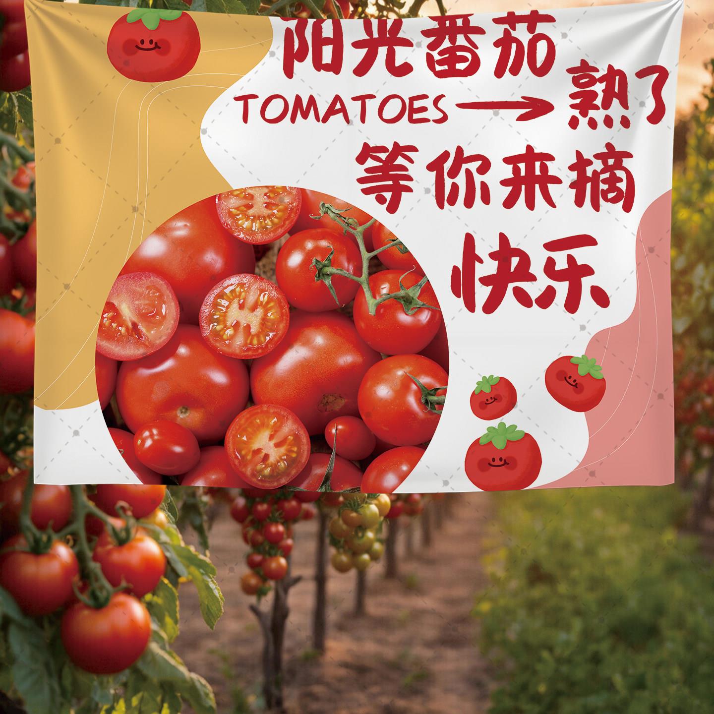 阳光番茄采摘园广告布挂毯西红柿大棚采摘园装饰壁毯氛围布定制