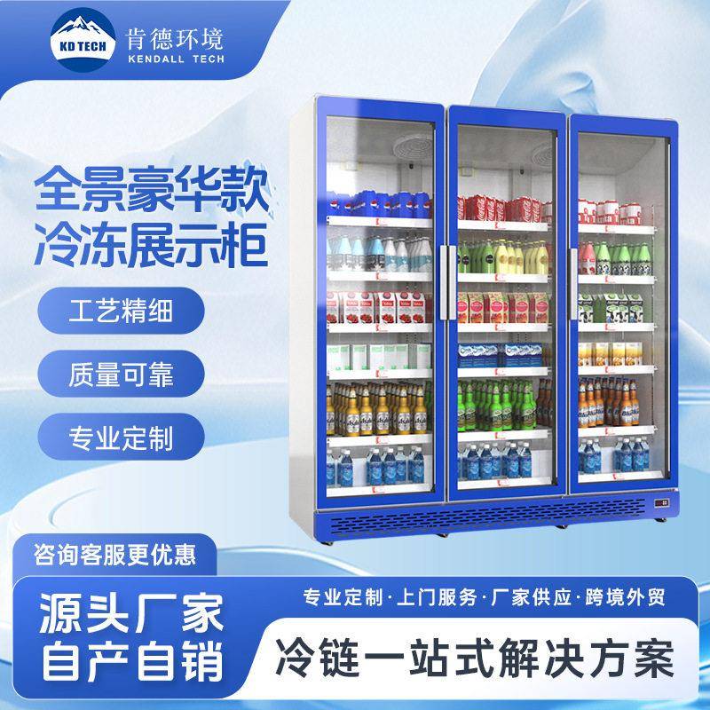 三门冷冻柜超市便利店饮料啤酒立式展示冰柜商用速冻食材保鲜冷柜