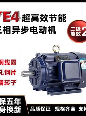 厂家直供三相异步电动机0.75/4/18.5/22/30/37/75/90千瓦全铜380V