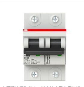 2TAZ190200R0824;SH802-C100/10255010/ABB高分断微型断路器