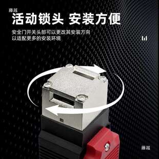 业工门开关插磁性开关锁SS10029148 01A自动化电磁锁定门锁栓 E销