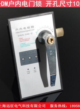 DSN-DMZ/DY高压户内电磁锁AC/DC220V/110V 高压柜配电柜电门锁