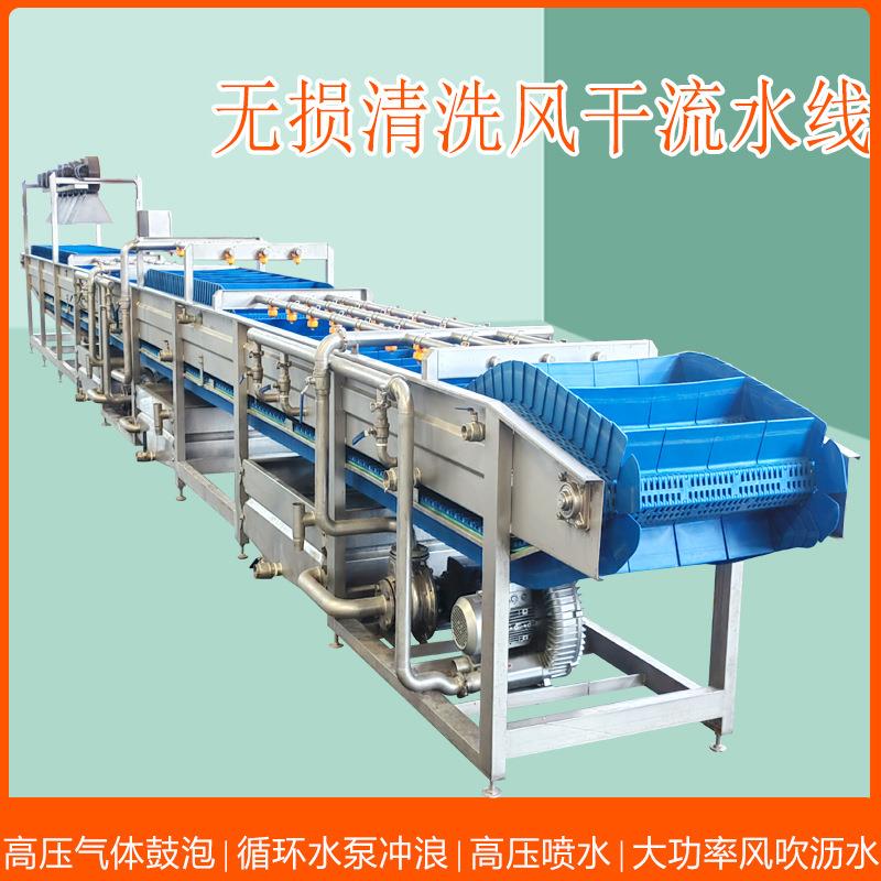 全自动净菜加工设备 蔬菜清洗机厂家大型食堂叶菜类蔬菜清洗机
