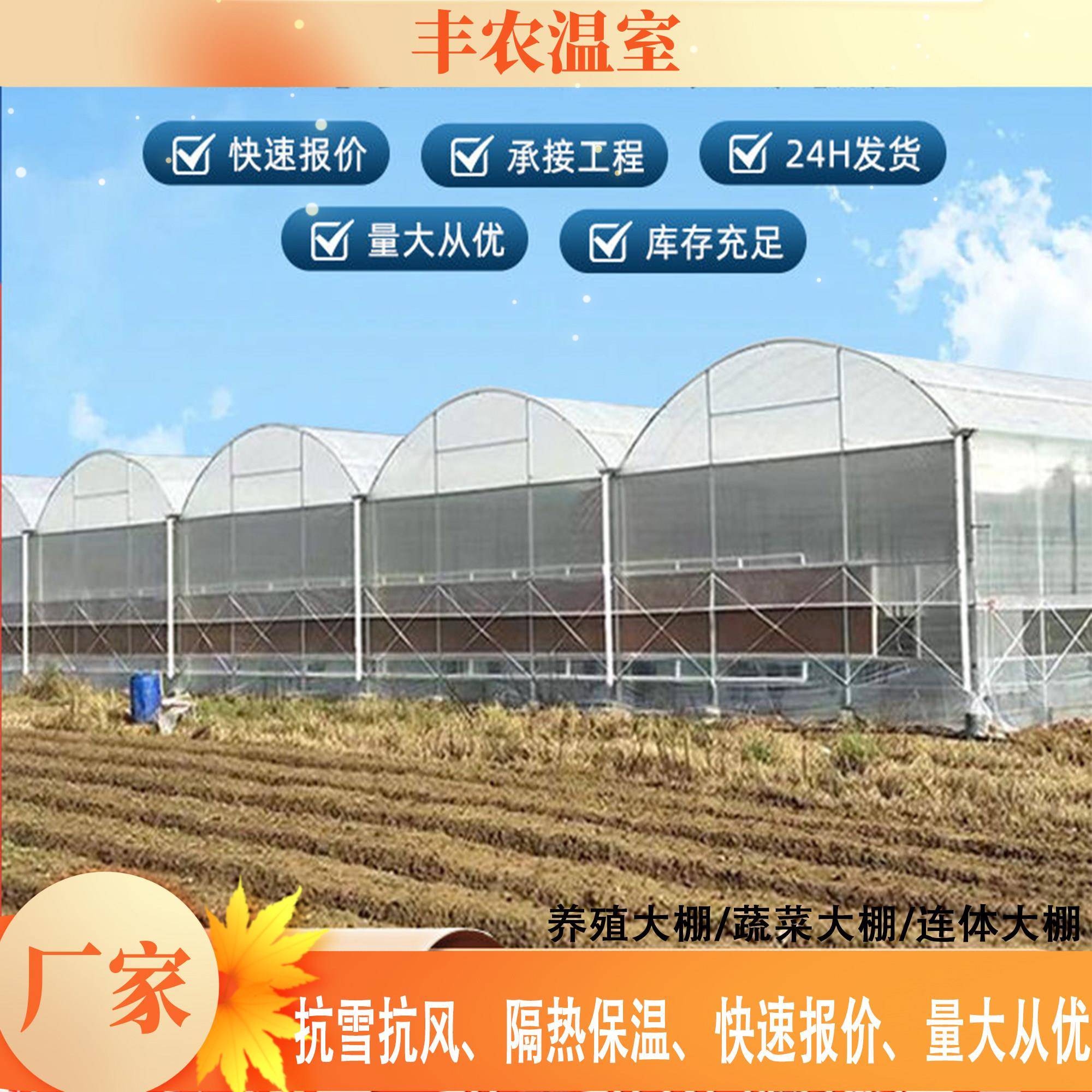 温室大棚蔬菜瓜果种植棚大棚骨架养殖连栋大棚智能温室