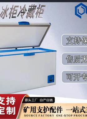 冷藏冷冻冰柜防爆冰箱BL-W900CD单双门防爆冷藏柜