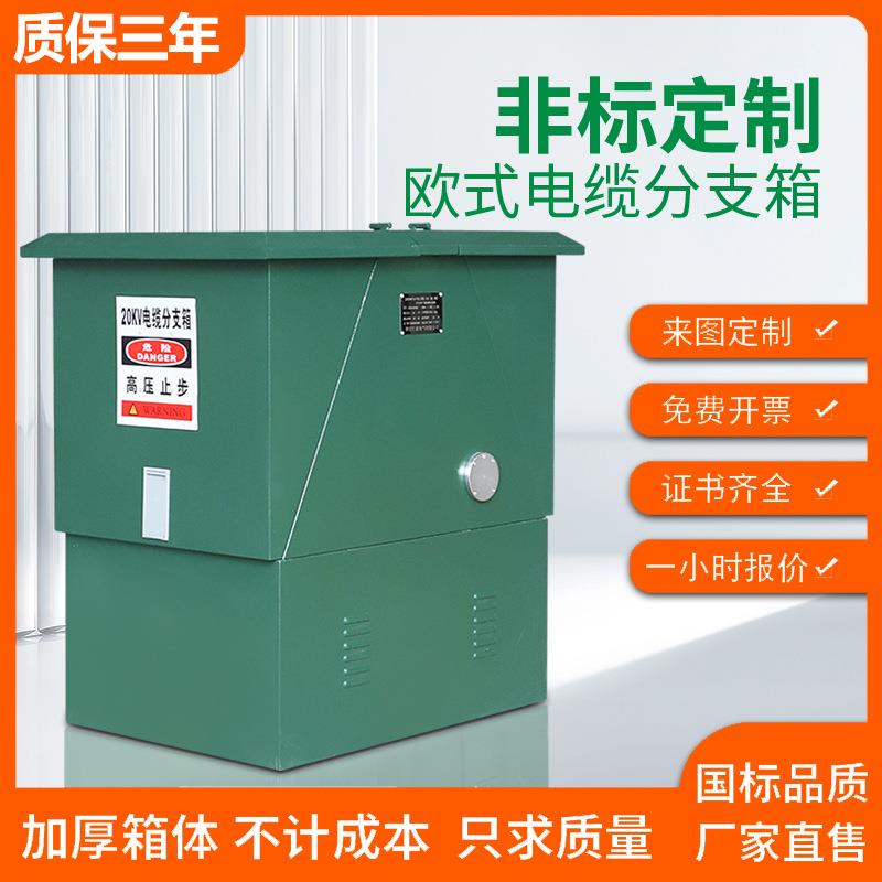 高压分支箱10KV欧式电缆分支箱dfw-12630a户外防雨一进二三四五出