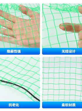 防鸟网果PE聚乙烯农用抗老化园大棚养用网殖园绿色ZUV防护拦鸟网