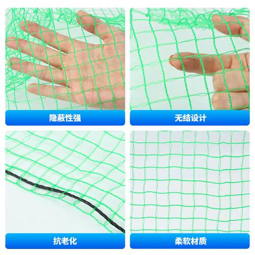 防鸟网果PE聚乙烯农用抗老化园大棚养用网殖园绿色ZUV防护拦鸟网