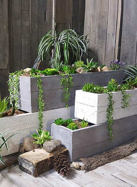 种菜盆 水泥盆造景托盘屋顶水泥色黑色10c古朴镁泥花盆绿植柜景区