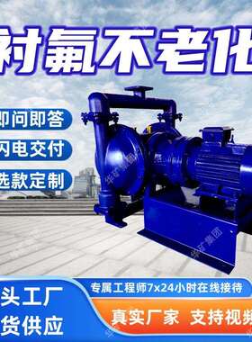 自吸力强电动隔膜泵颗粒易过电动隔膜泵DBY-25CF46电动隔膜泵