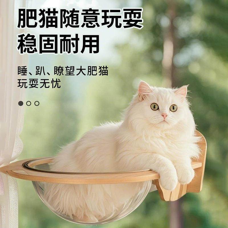猫吊床猫窝四季通用太空舱窗户猫吊篮吸盘悬挂猫床晒太阳神器透明,宠物/宠物食品及用品,猫窝/屋/帐篷/沙发,淘宝优惠券,粉丝福利购,淘宝优惠卷
