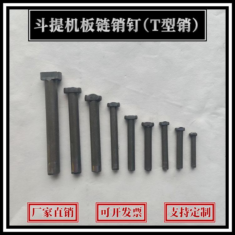 NE50斗式提升机链条T型销钉销子矿山斗提机械配件直径5mm铆钉8mm