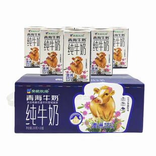 青海牛奶青藏牧场娟姗生牛乳娟姗牛奶200g*10盒装儿童学生早餐奶