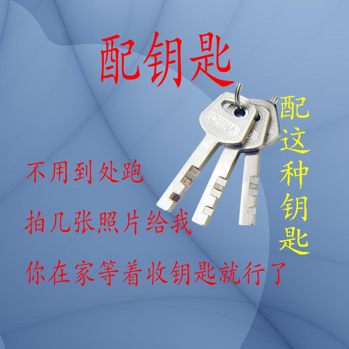 配钥匙 适用S.L.T 斯力特 叶片 波斯 BOSI
