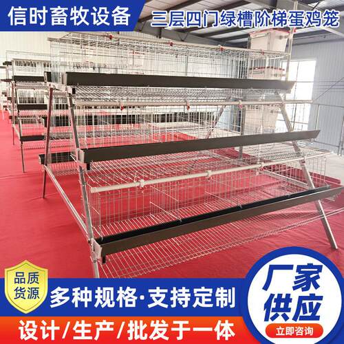 三层四门阶梯式蛋鸡笼加粗双边多门养殖场层叠鸡笼饲喂鸡舍鸡笼