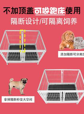 猫笼子三层繁殖繁育家用多层笼宠GHM物店展示猫舍寄养猫笼子母狗